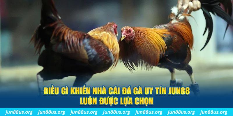 Điều gì khiến nhà cái đá gà uy tín Jun88 luôn được lựa chọn