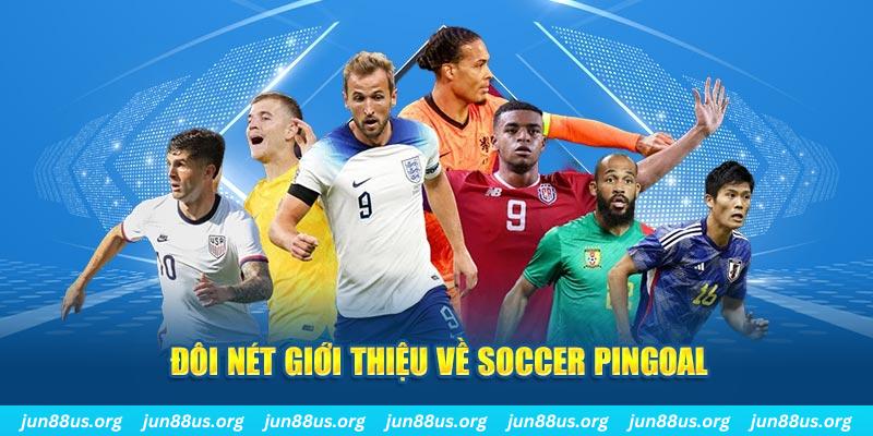 Đôi nét giới thiệu về Soccer Pingoal