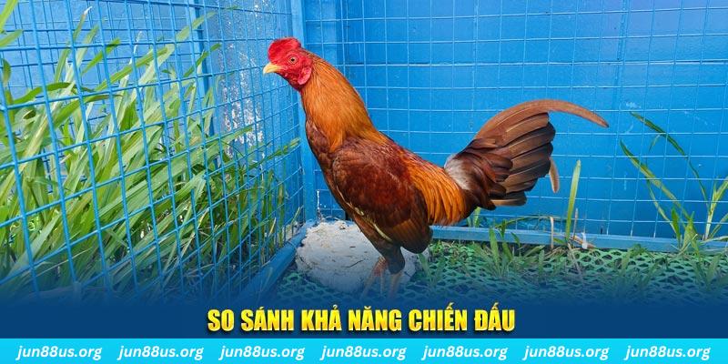 So sánh khả năng chiến đấu 